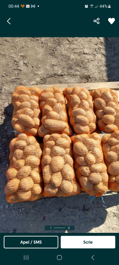 Vendo papas en saco de 10 kg.