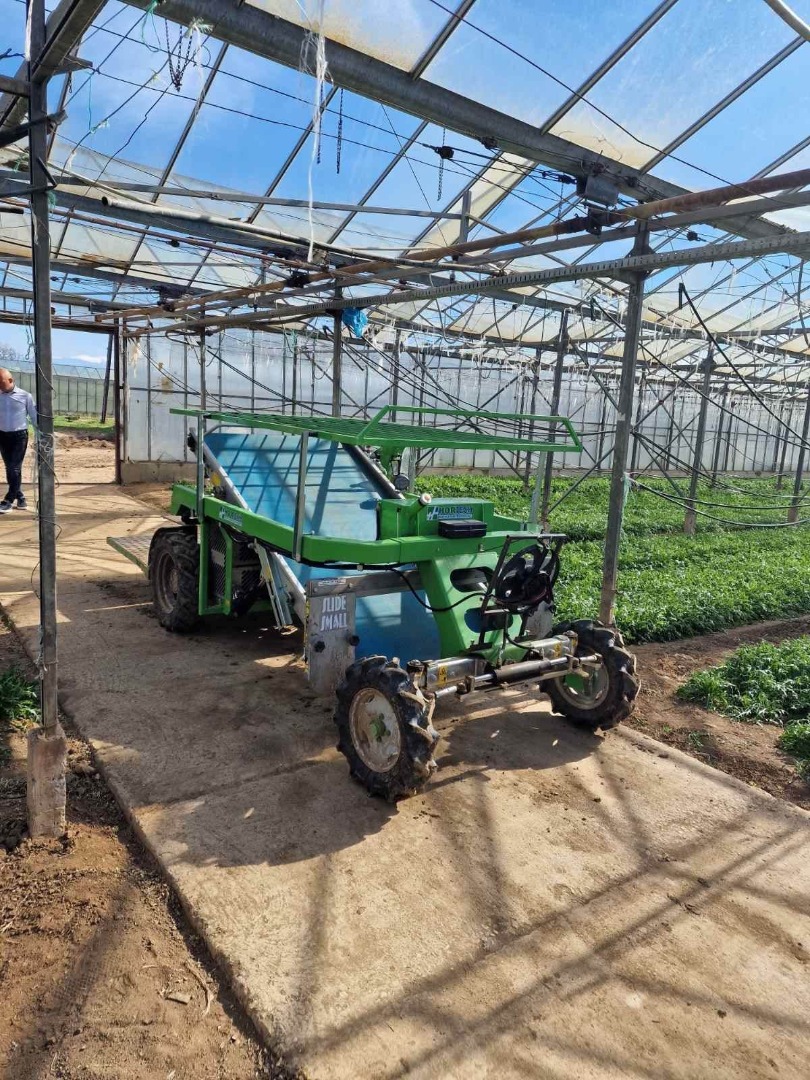 Baby Arugula Variedad: Marldi Origen: Macedonia, Gradsko Precio: 2,5 Eur/kg, pero al pactar la cantidad total, tenemos la opción de un precio más bajo