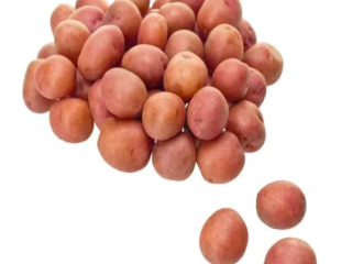 Compre papas irlandesas rojas y amarillas FRESCAS y de