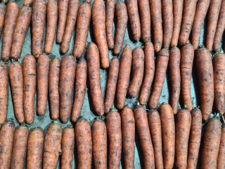 Estoy vendiendo zanahorias sucias. bolsa de 20 kg. Producto