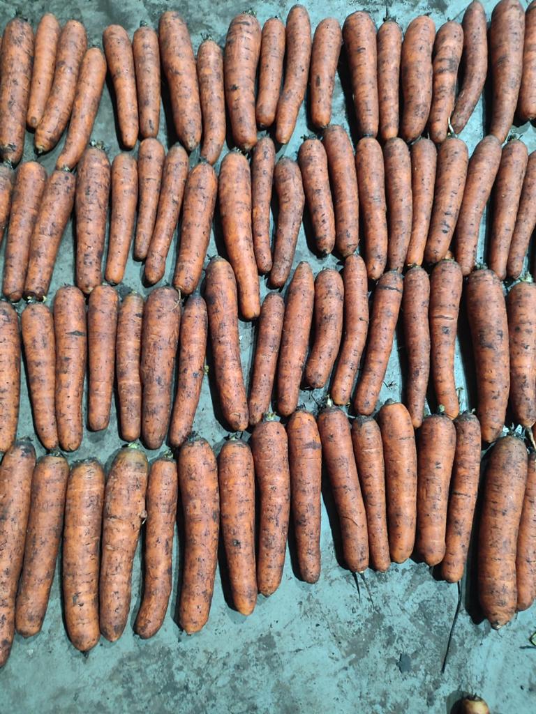 Estoy vendiendo zanahorias sucias