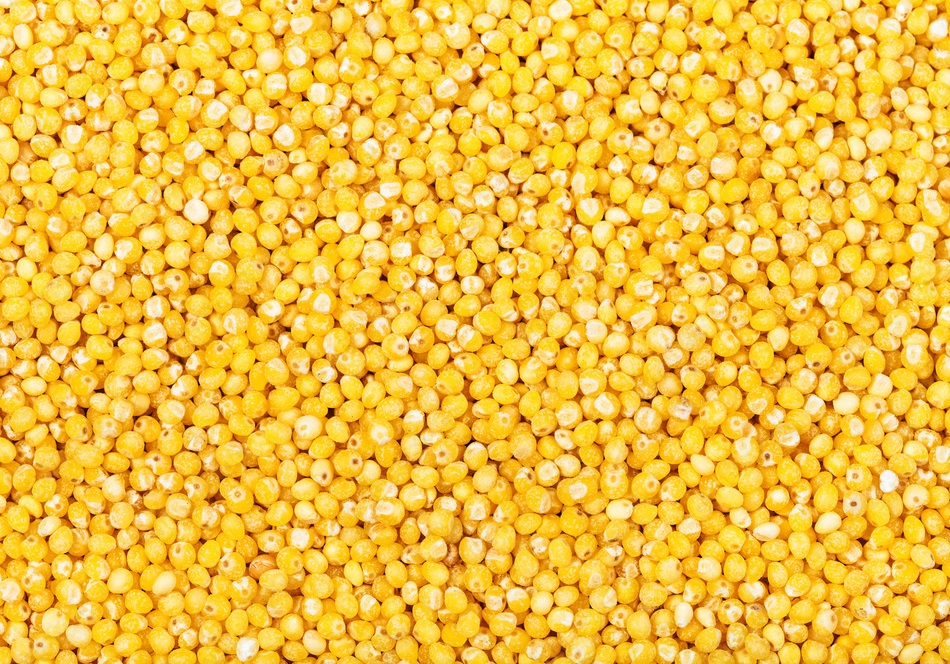 Ofrecemos cereales de producción propia