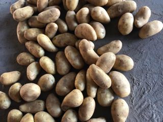 Nuestra empresa trabaja con mucha variedad de frutas y