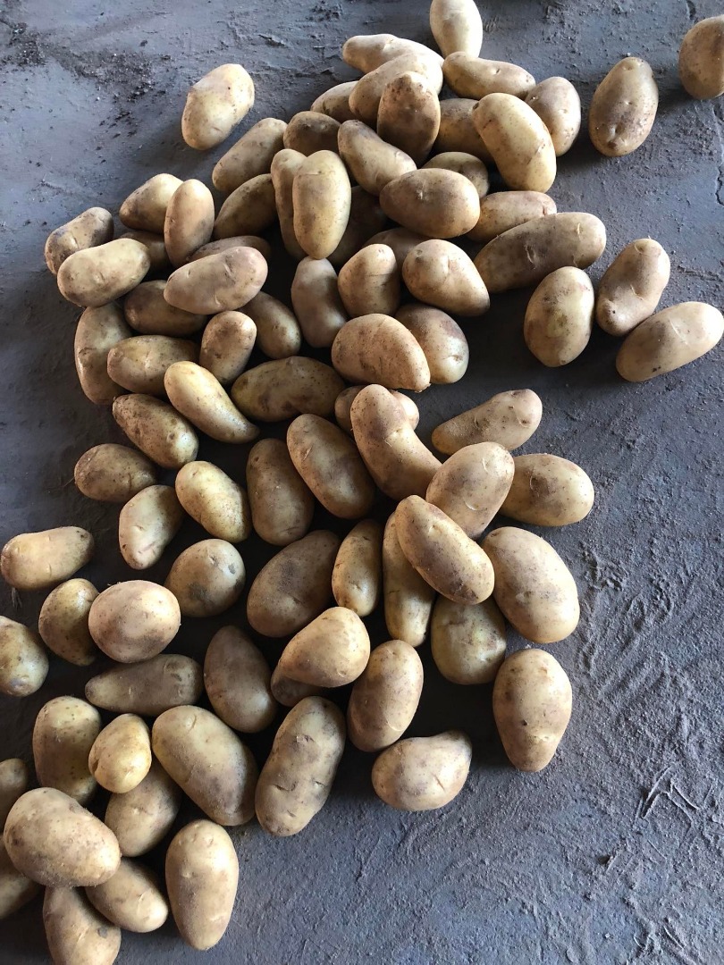 Nuestra empresa trabaja con mucha variedad de frutas y verduras