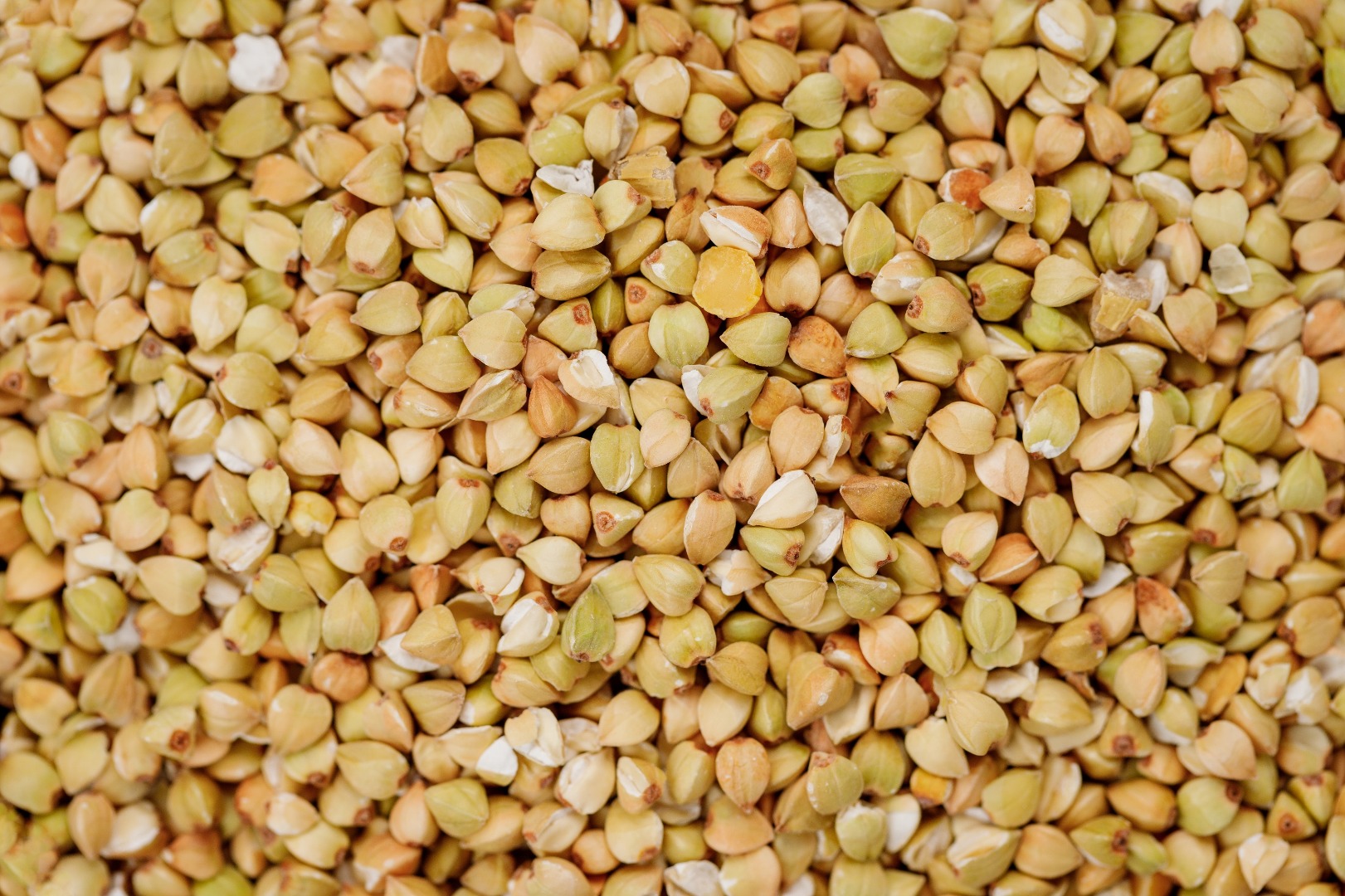 Nuestra oferta incluye grañones de trigo sarraceno verde de producción propia