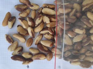 Nueces de Brasil de tamaño mediano y quebradas. embalado