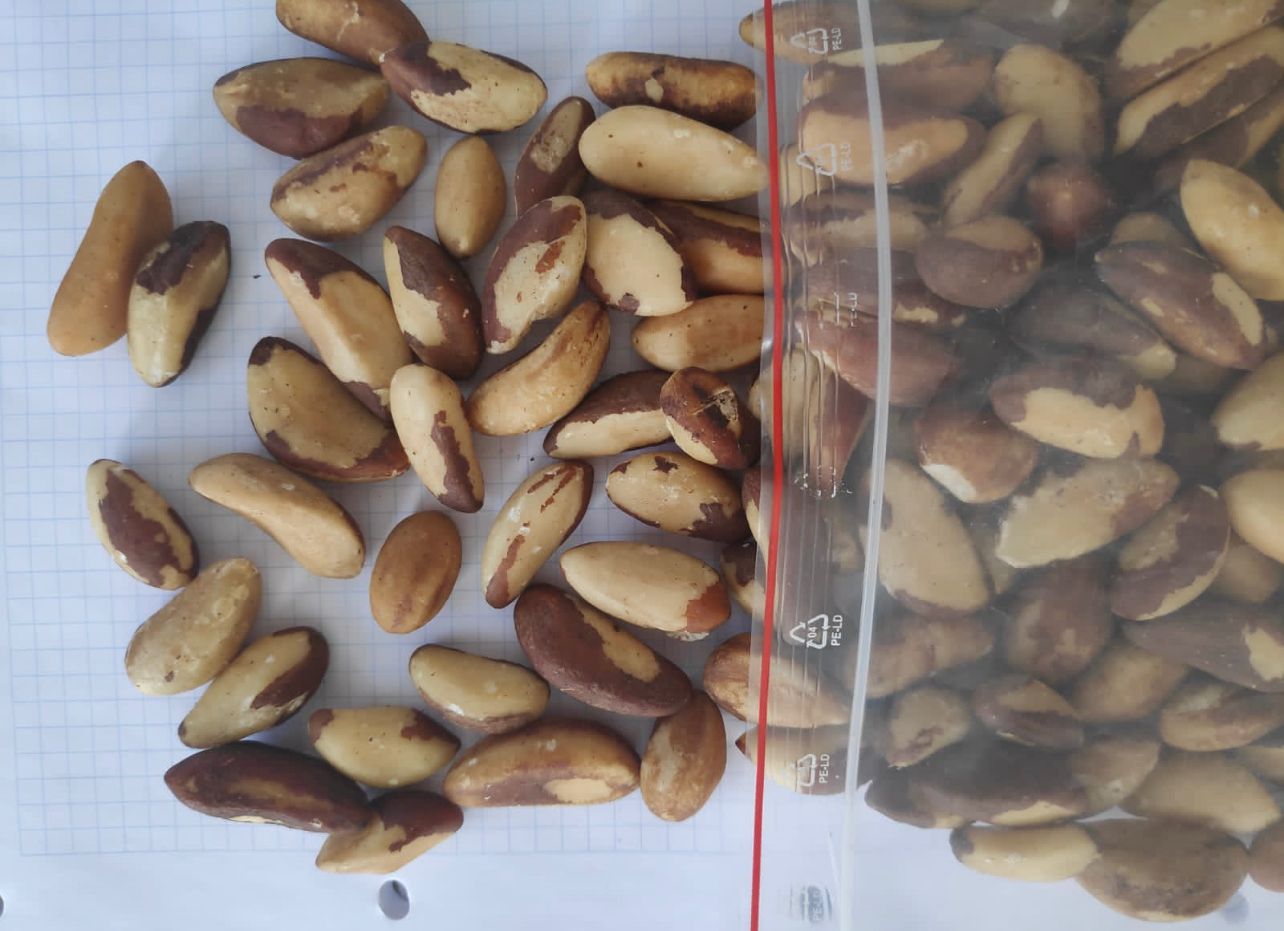 Nueces de Brasil de tamaño mediano y quebradas