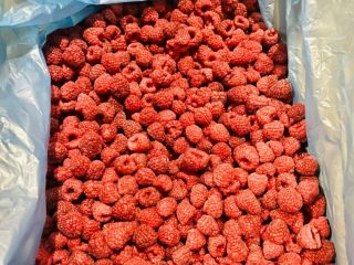 Ofrecemos frutas de frambuesa congeladas de la más alta