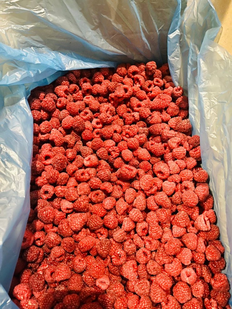 Ofrecemos frutas de frambuesa congeladas de la más alta calidad, el volumen y la calidad están garantizados!También tenemos 60/40, 50/50, scrap, sémola y otras