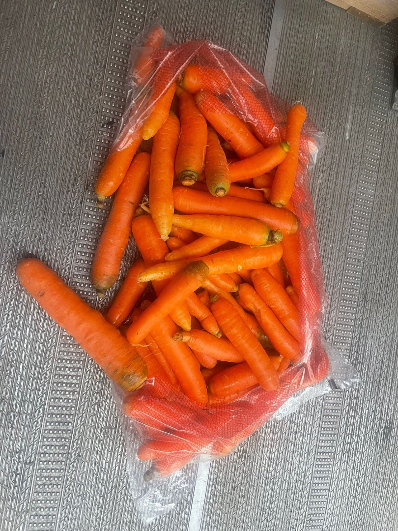Hola vendo zanahorias tiernas en bolsas de plastico para el cambio o procesamiento, 24 palets