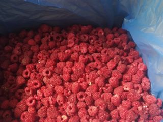 En cajas de caetina, para más detalles llamar o