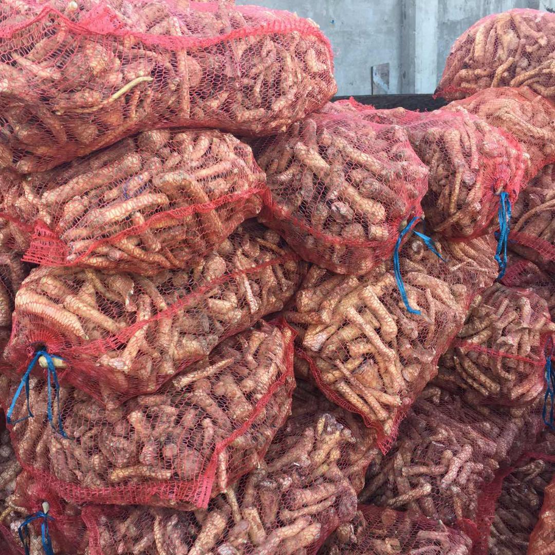 Vendo raíz de rábano picante a granel