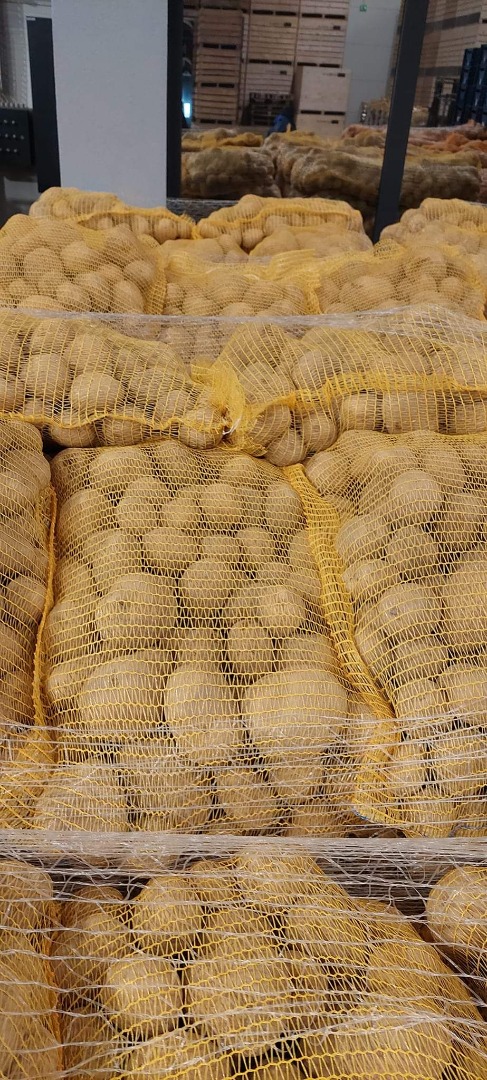 Venderé papa amarilla calibre 5+ Con pruebas FITO bolsa de 10kg Whatsapp