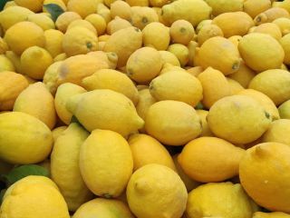 Limón variedad verna, excelente calidad.