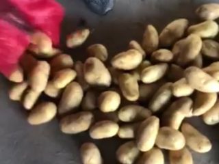 Nuestra empresa Minoas importa patatas y cebollas de Egipto.