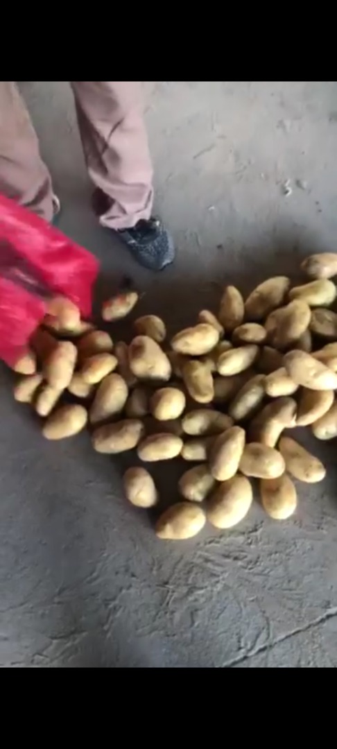 Nuestra empresa Minoas importa patatas y cebollas de Egipto