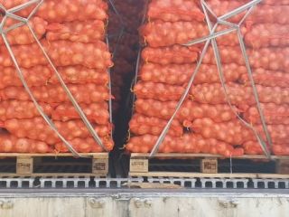 Cebolla blanca en bolsas de 15 kg