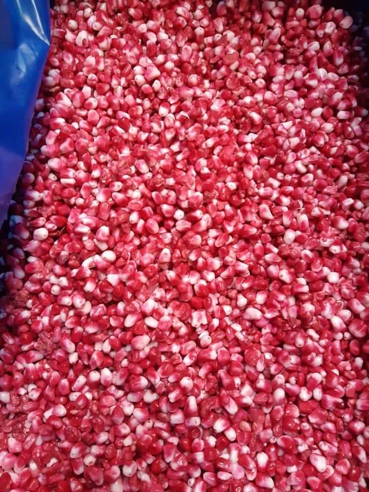 #mrozonatruskawka #mrowanemango #mrożeniegranat Trabajamos directamente con muchas empresas pioneras en Egipto que exportan fruta congelada