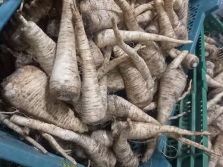 Venderé perejil recién cortado. Producto en calidad comercial -