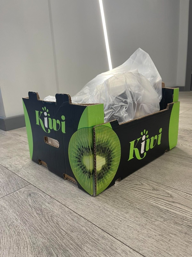 Somos productores de kiwi y la empresa que fundamos también se ocupa del almacenamiento, clasificación, envasado y venta de la fruta