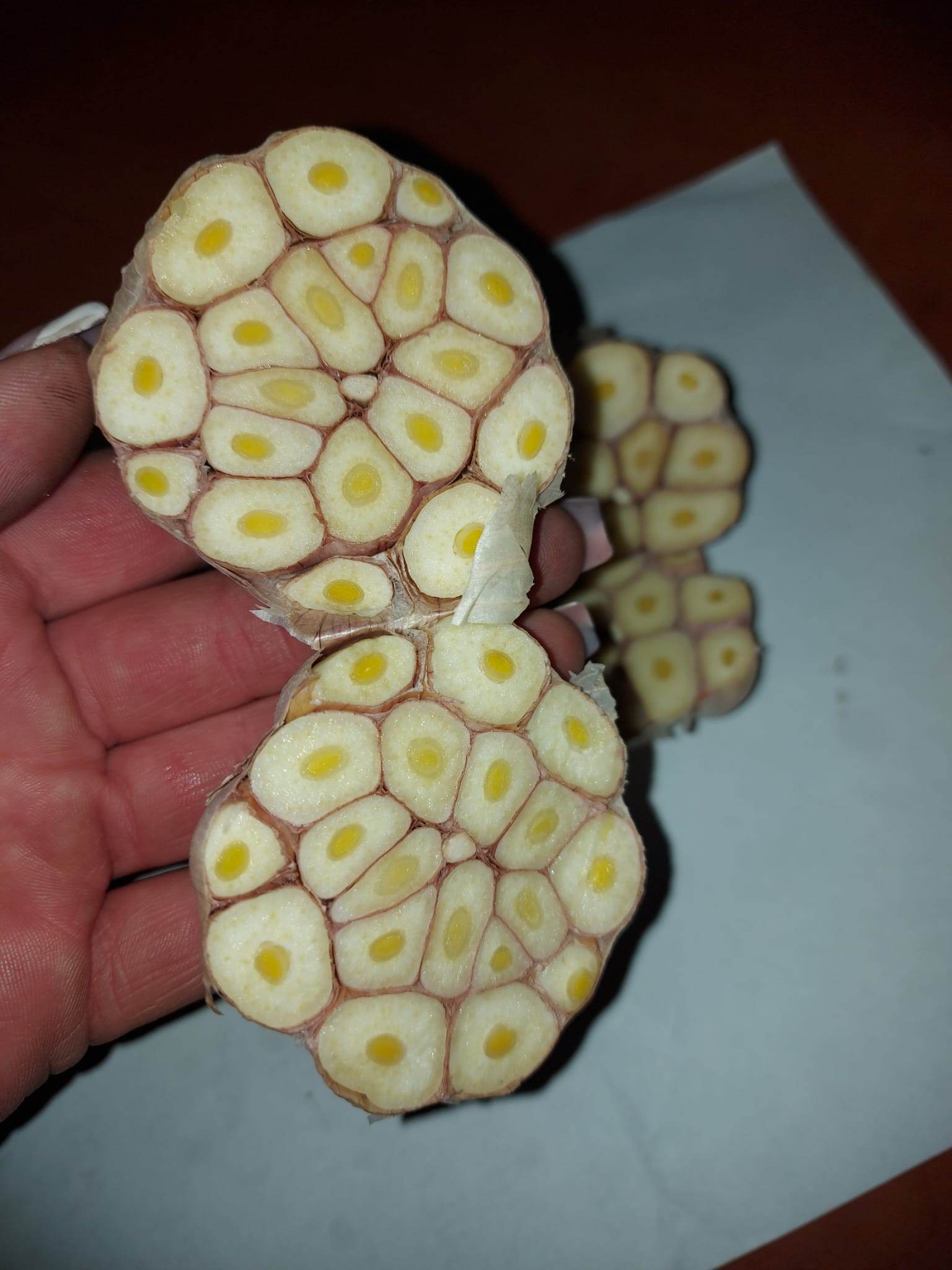 Te ofrecemos el ajo, que es perfecto para encurtir