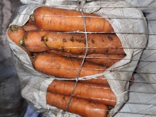 Venderé zanahorias sucias empacadas en bolsas. 100 toneladas disponibles.