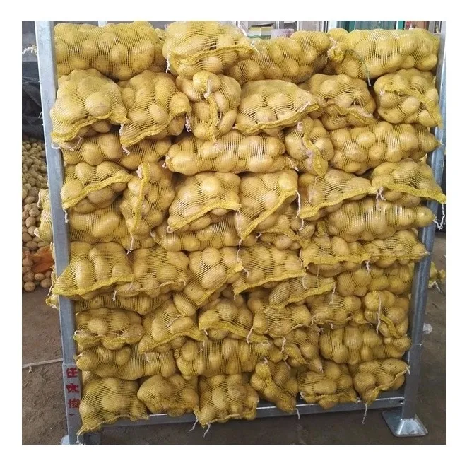 Patatas frescas al por mayor de todos los tamaños 1