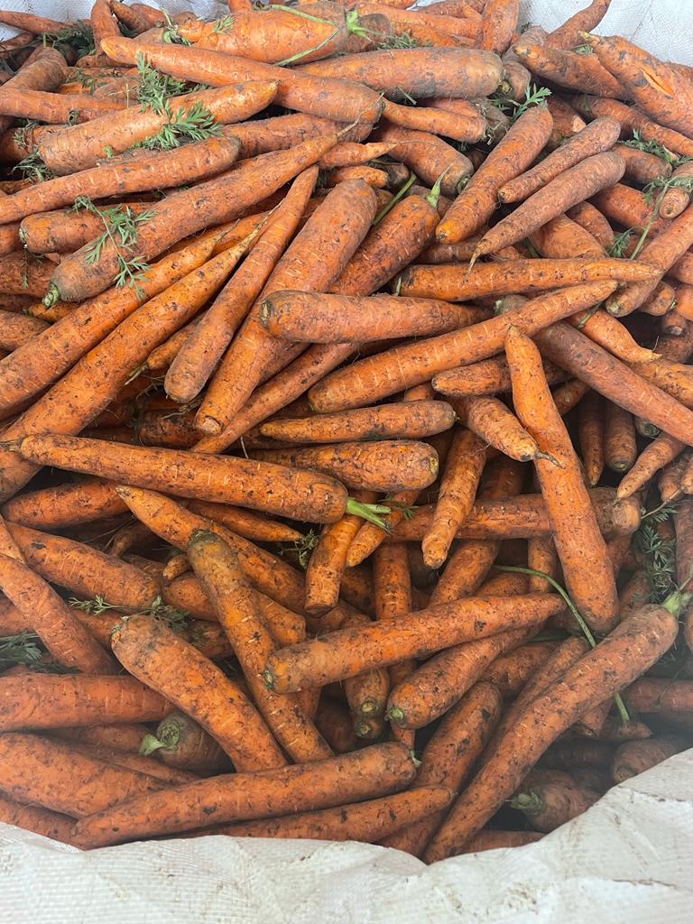 Zanahoria Calidad comercial o industrial Empaque cosido neto 10, 15, 20 kg o big beg 1 tonelada Calibre de 2.5 a 4.5 Zanahorias lavadas o sin lavar Todo es