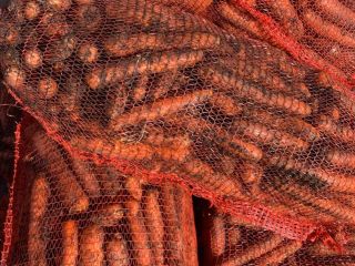 Venderé zanahorias sucias y lavadas.