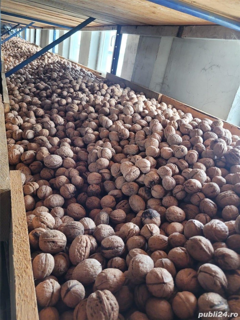 FRUTOS SECOS ORGÁNICOS OBTENIDOS EN LA HUERTA, CERTIFICADOS ECOLÓGICAMENTE EN RUMANIA