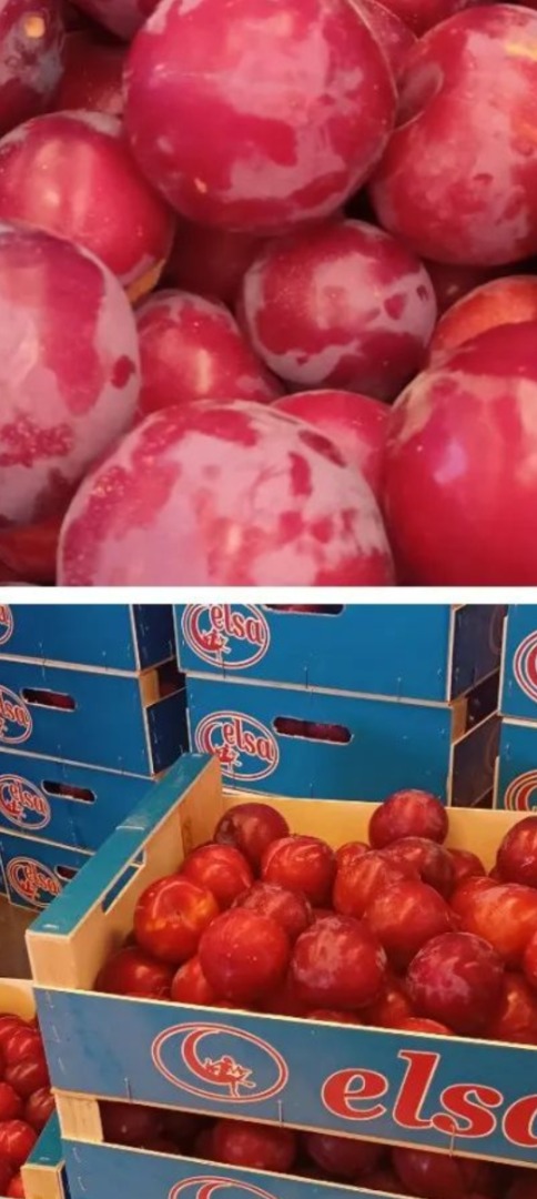 productores de nectarina, melocotones carne amarilla y caquis españa, credit caution u otros, para más info