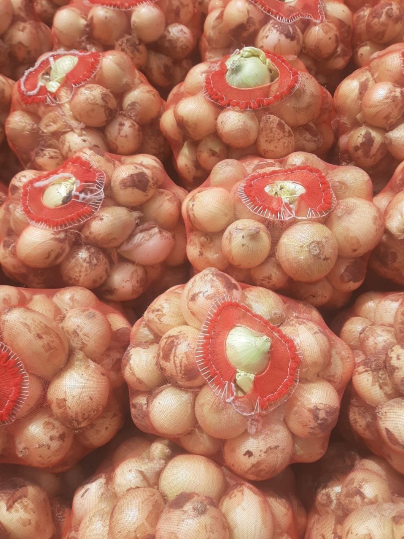 Venderé cebollas tiernas (Uzbekistán)