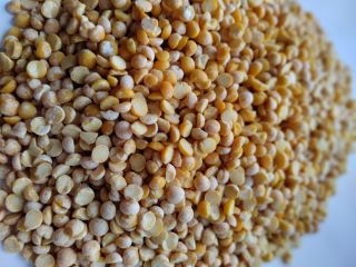 Ofrecemos cereales del fabricante: trigo sarraceno verde, guisantes amarillos