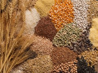 Nuestra empresa se dedica a la exportación de productos