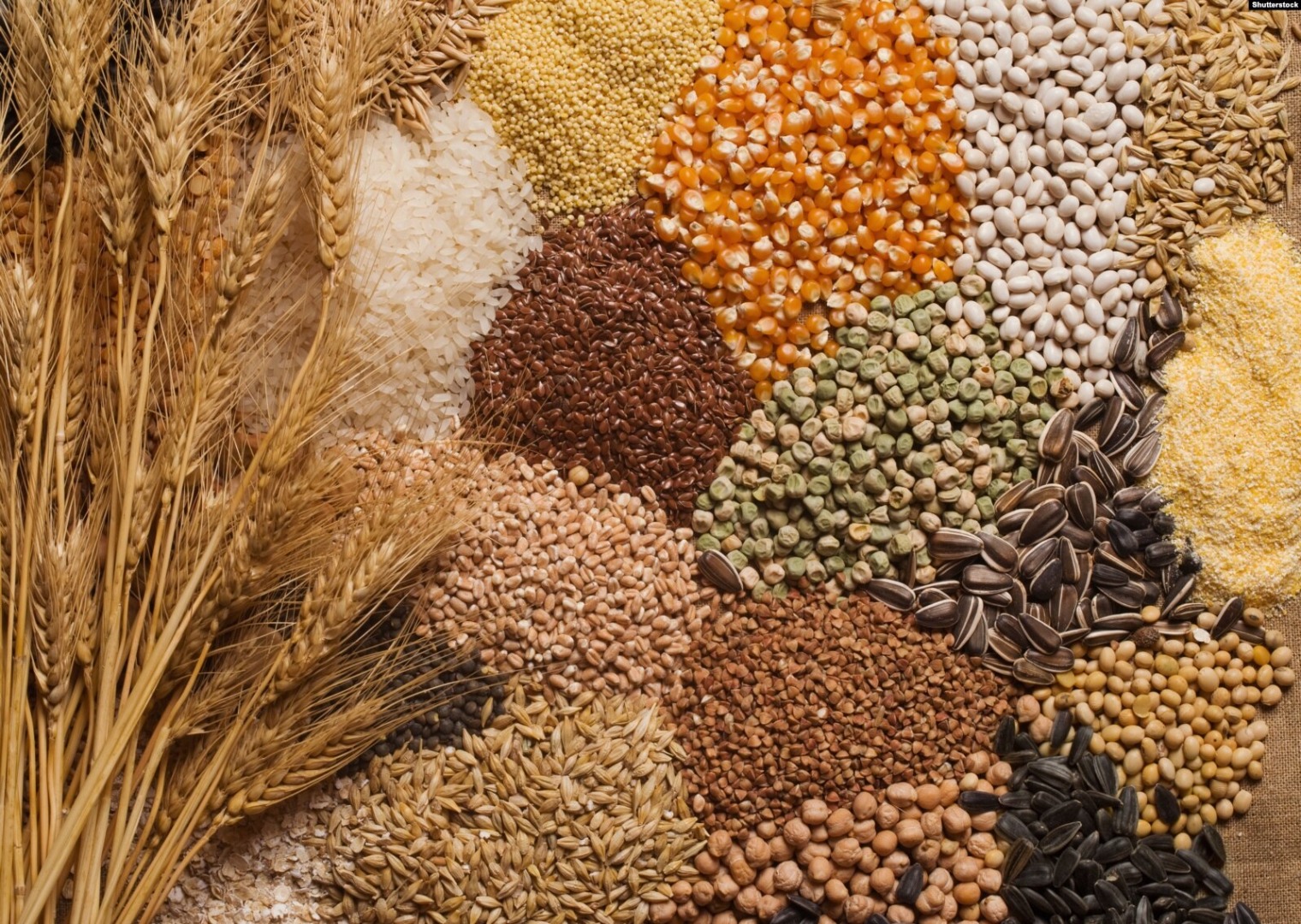 Nuestra empresa se dedica a la exportación de productos agrícolas