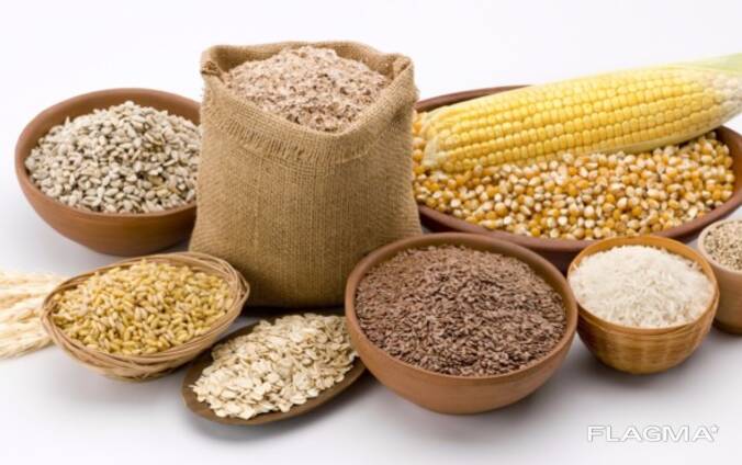 corre todo el año compra de cebada, invito a los productores a la colaboracion permanente., pago seguro y rapido
