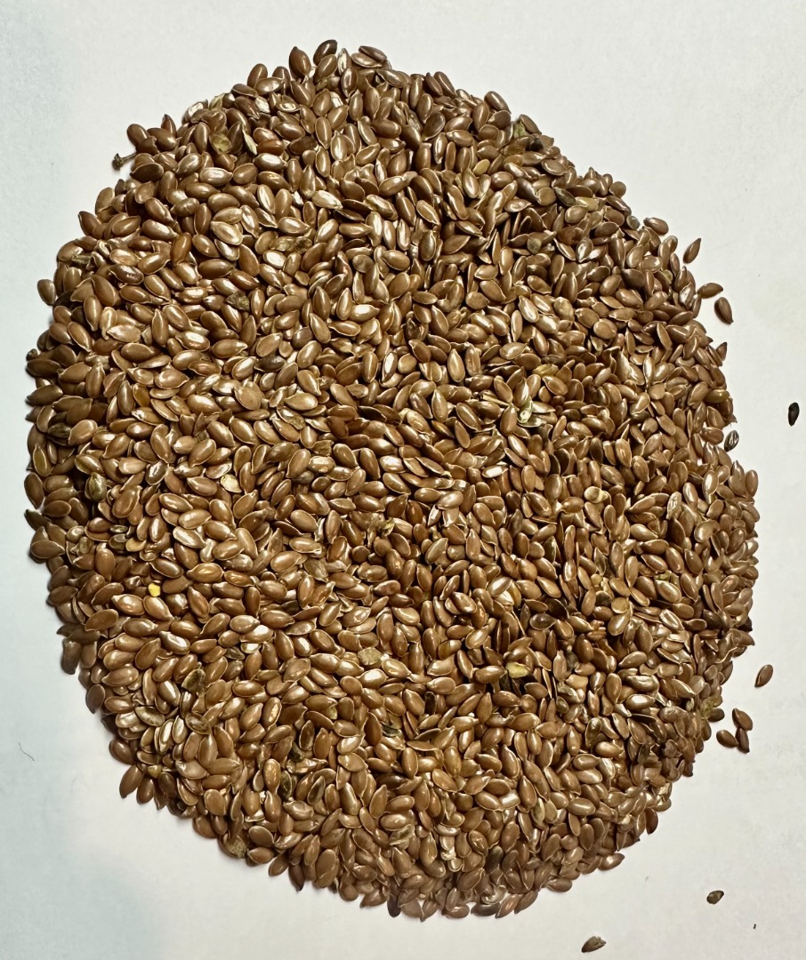 linaza, importación KZ, en almacenes en Polonia, pureza 99%, humedad hasta 7,5%