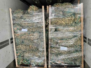 Vendo raíz de rábano picante al por mayor. Correo