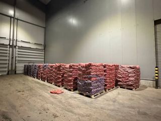 Buen día. Venderé papas ecológicamente limpias cultivadas en los