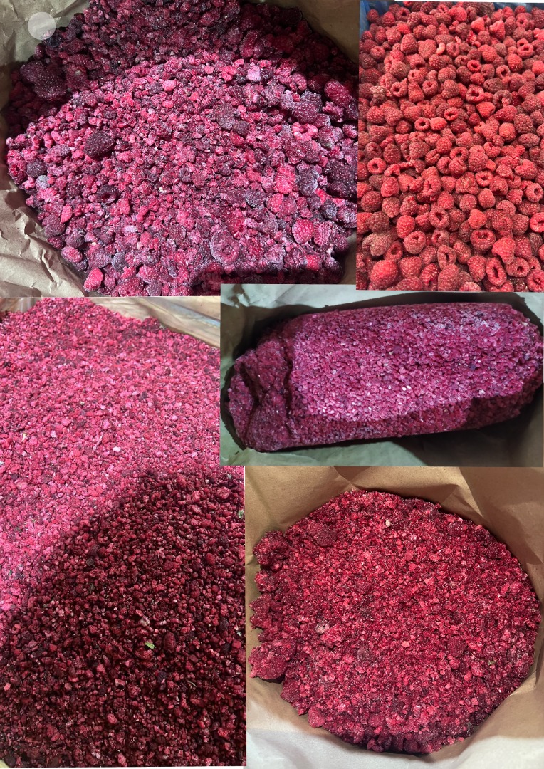 Frambuesa original congelada 80/20 para procesamiento posterior - 1,80 EURO/kg - Arándano silvestre congelado para procesamiento posterior El arándano