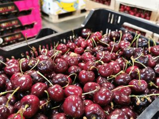 Venderé Cerezas País de origen España Variedad Paula solo