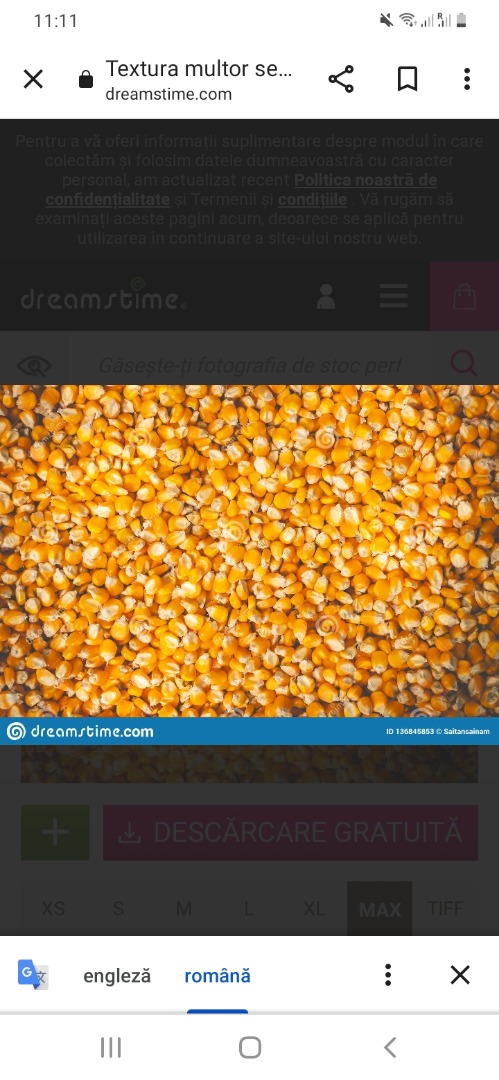 Compro cereales maiz, trigo, cebada a buen precio entre 20 y 50 toneladas con posibilidad de entrega a domicilio