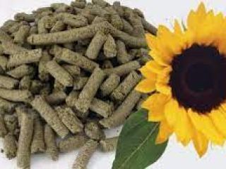 Vendemos con entrega en Europa harina de girasol y