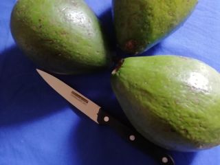 Somos un productor de aguacates frescos en Burundi tipo