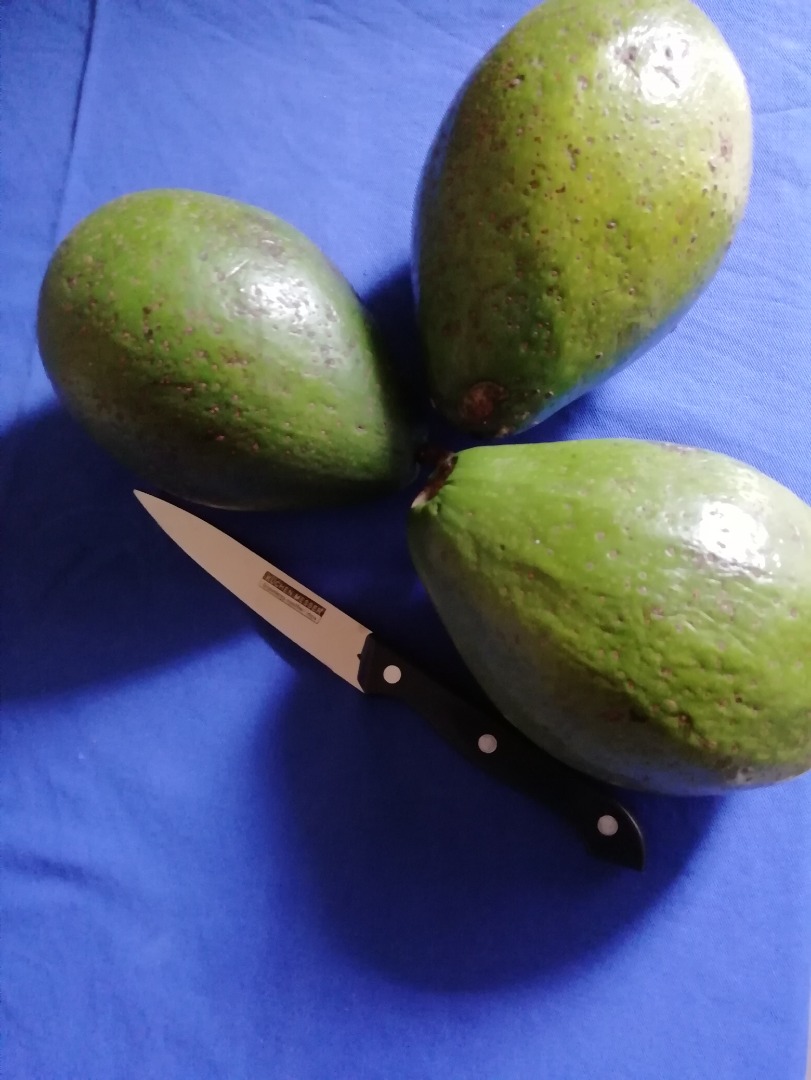 Somos un productor de aguacates frescos en Burundi tipo HS 080440 disponible en cantidades de 1 a 5 toneladas