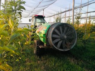¡Buscamos nuevos colaboradores! Manzanas Golden Delicious certificadas orgánicamente. El