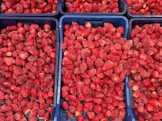 FRESA CONGELADA Ofrecemos fresas congeladas de la más alta