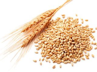Venta de trigo, maíz, cebada, soja. Origen: Ucrania y