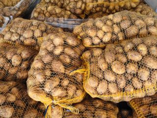 Venderé papas nuevas. Mercancías frescas, desenterradas a la orden.