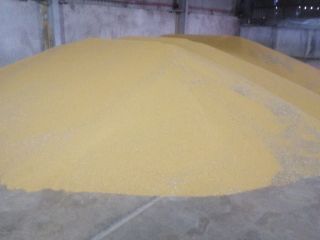 El productor agrícola vende mostaza blanca envasada en Big